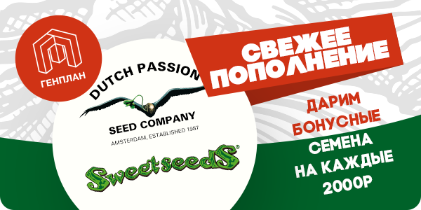 Пополнение ассортимента Dutch Passion и Sweet Seeds!