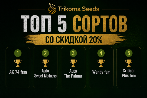 Топ-5 сортов от Trikoma Seeds